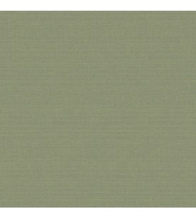 Abaca Uni Effet Craft Vert...