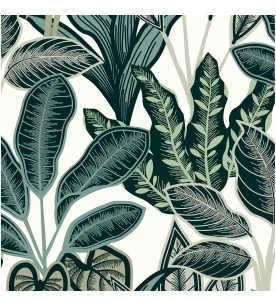 Dolce Vita Arbre Du...