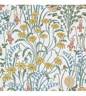 Flower Meadow Spring...