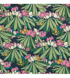 Rhododendron Magenta...