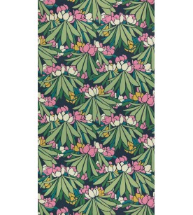 Rhododendron Magenta... 2