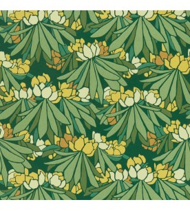 Rhododendron Yellow...