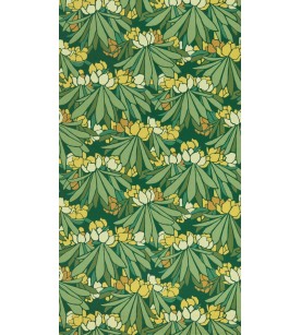 Rhododendron Yellow... 2