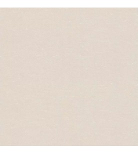 Vi Uni Maille Ecru 51201206