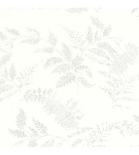 Fougeres Gris 36200509