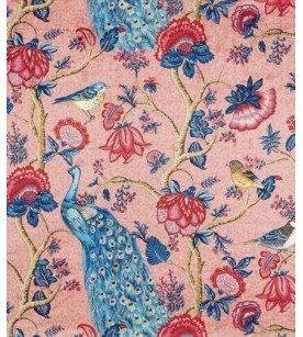 Alexandra Rose Velours 2650903