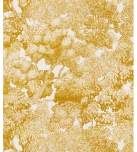 Tree For Two Curry...