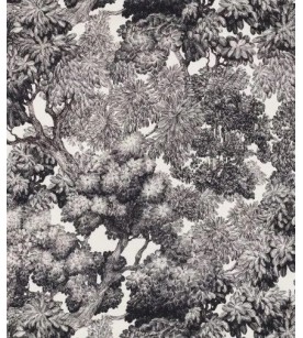 Tree For Two Noir Fond...