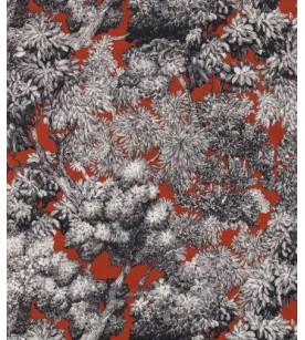 Tree For Two Noir Fond...