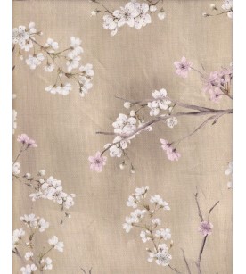 Asami Beige High Des.01