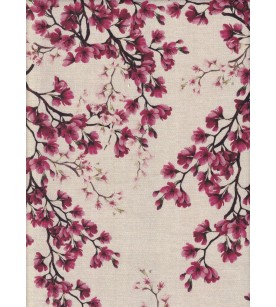 Kanako Fucsia Des.01