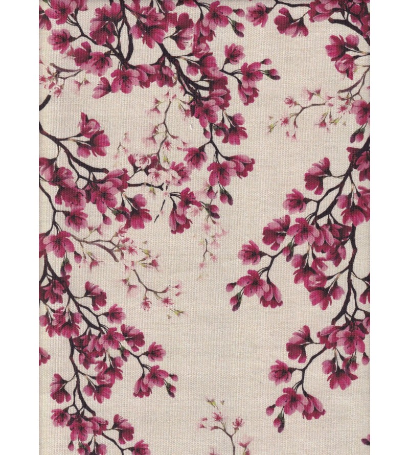 Kanako Fucsia Des.01