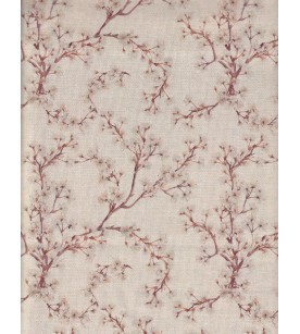 Kanako Fucsia Des.03