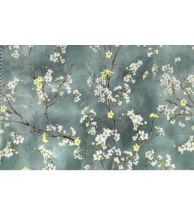 Asami Azul High Des.02