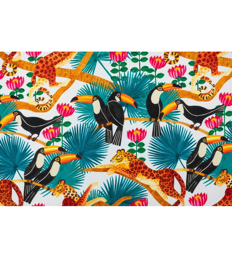 Toucans Fond Blanc 2669601