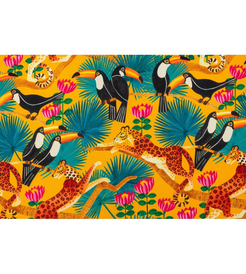 Toucans Fond Mangue 2669602