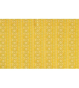 Casimir Raye Vert Fond...