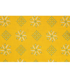 Casimir Vert Fond Jaune...