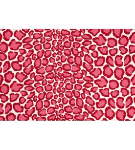 Coup De Griffe Brode...