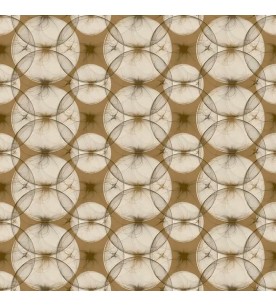 Circle Ocre 51246508