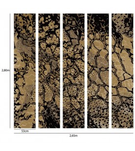 Panoramique Reptile  5 Les...