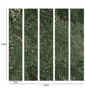 Panoramique Reptile 5 Les...