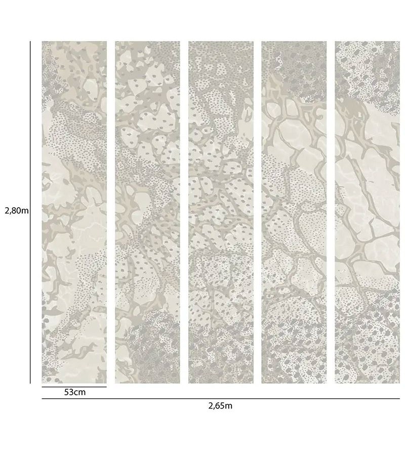 Panoramique Reptile  5 Les Beige...