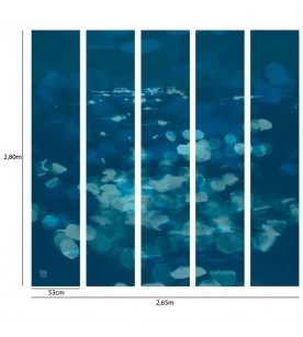 Panoramique Nympheas 5 Les...