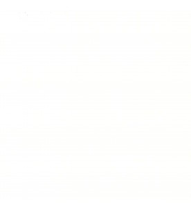 Vli Uni Malay Blanc 370G...