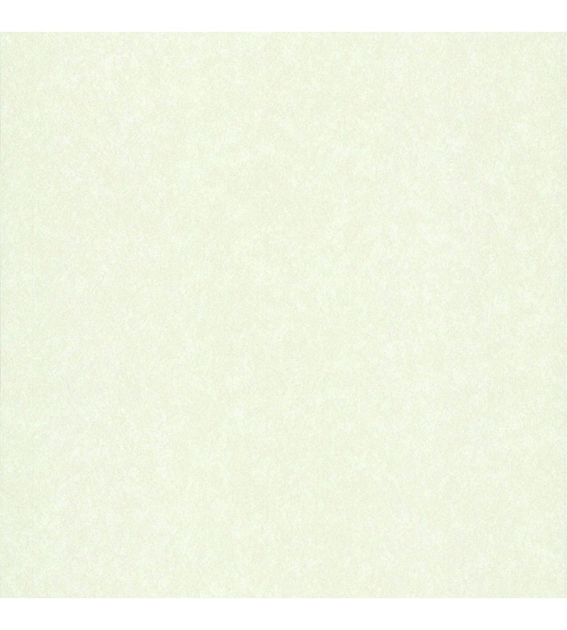 Vli Acier Brosse Calcaire 65130400