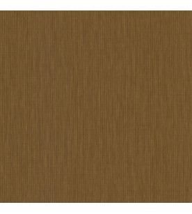 Latte Marron Cuir 51245008