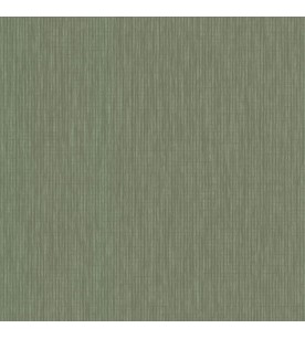 Latte Vert Kaki 51245004