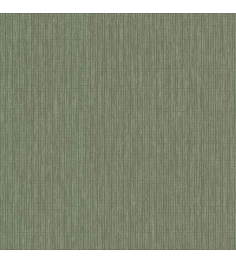 Latte Vert Kaki 51245004