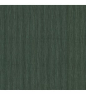 Latte Vert Sapin 51245014