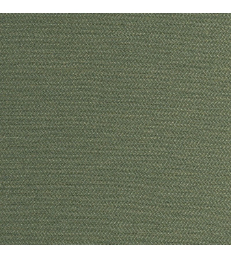 Asgard Out Fern 00A50