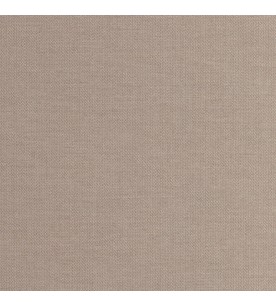 Asgard Out Mud 00A44