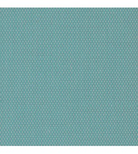 Bloom Out Aruba 01149