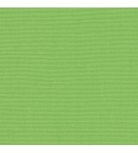 Canvas Out Parrot Green 00138