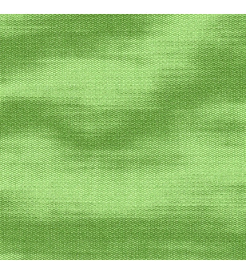 Canvas Out Parrot Green 00138