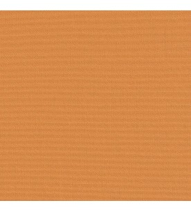 Canvas Out Pumpkin 00036