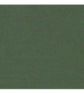 Panama Out Fern 01004