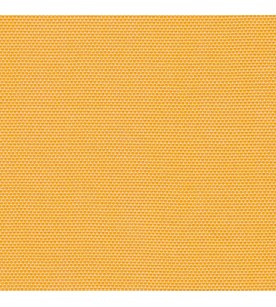 Panama Out Gold 01003