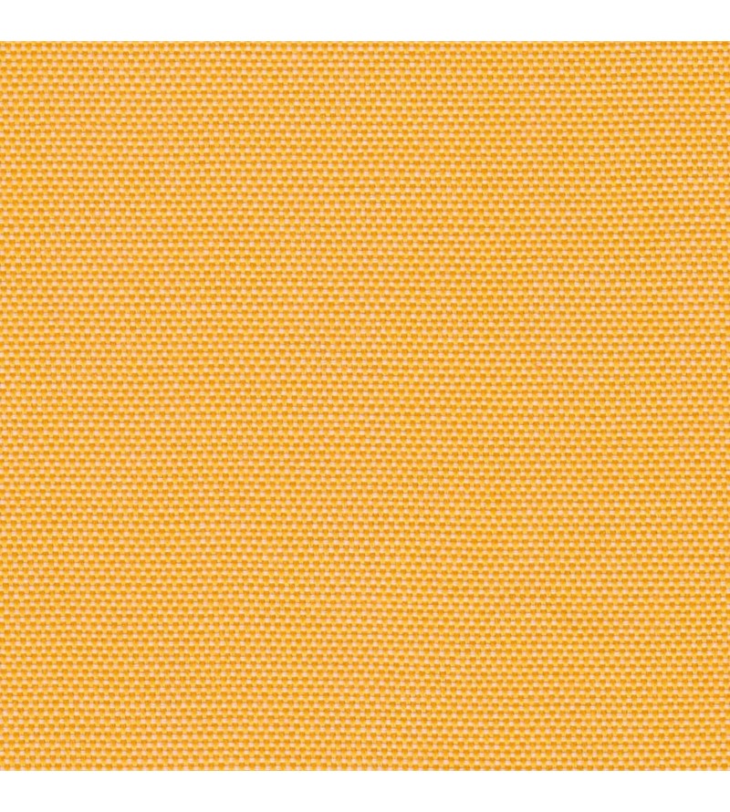 Panama Out Gold 01003