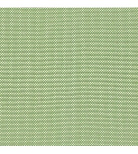 Panama Out Parrot Green 00347