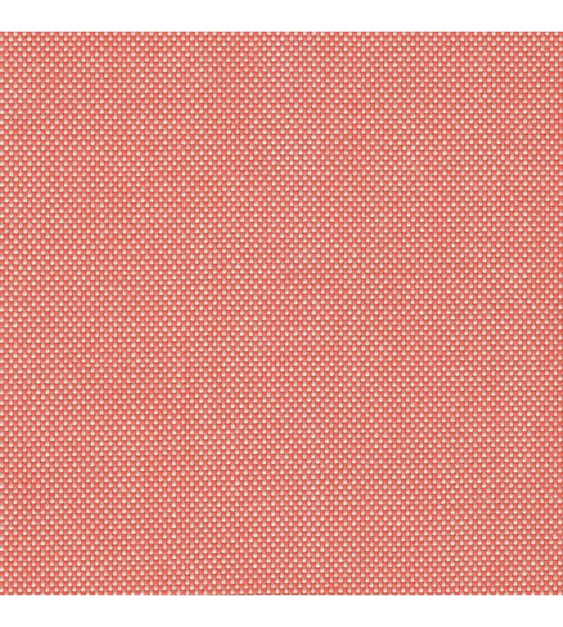 Panama Out Salamander 00339