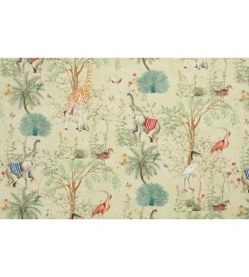 Animaux Exotiques Fond Vert...