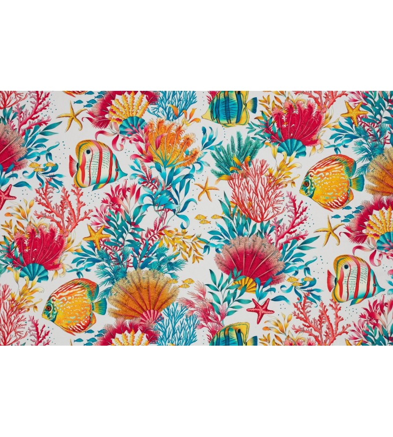 Marina Fond Blanc 2723601