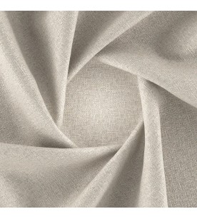 Asset 21-Putty