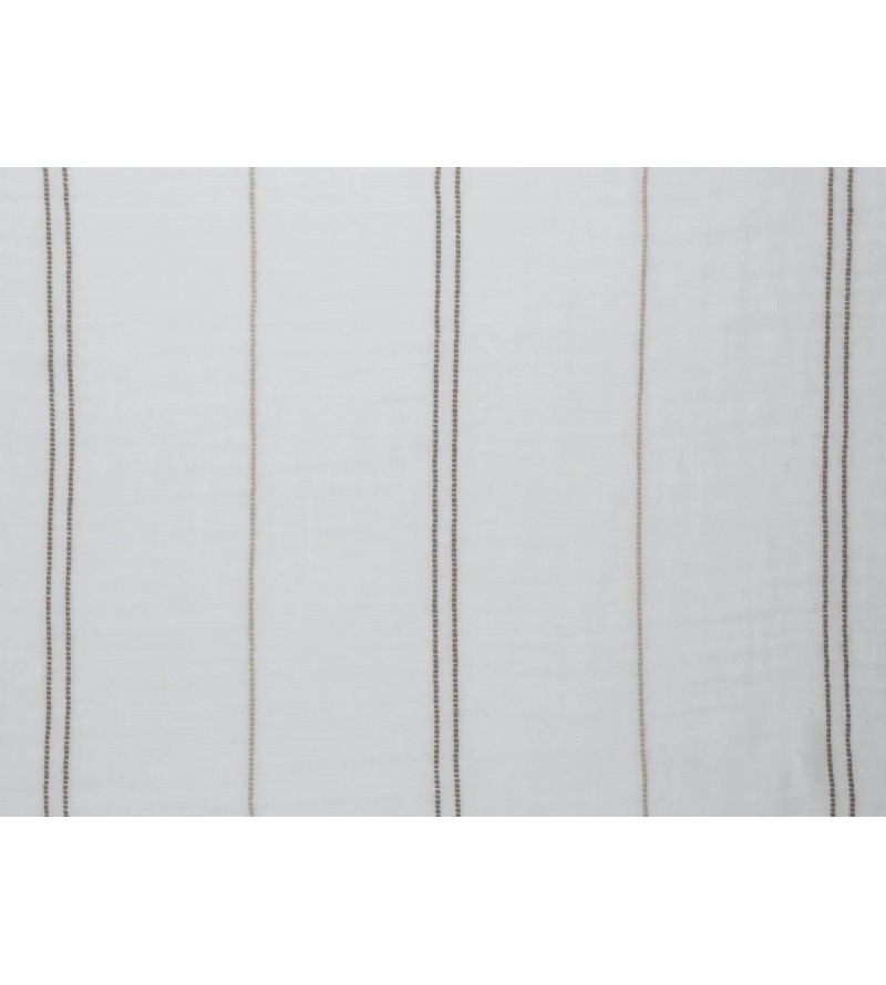 Gauzy 01