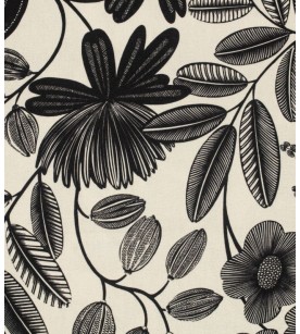 Orphee-Noir Fond Vanille...